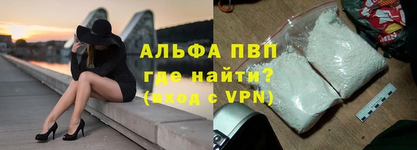 прущие грибы Верея